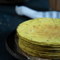 khakhra 1