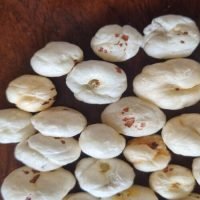 makhana 2
